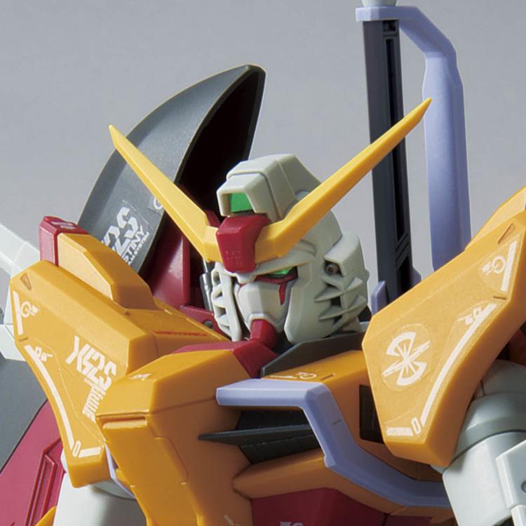 MG 1/100 高达基地限定 命运高达（海涅专用机）