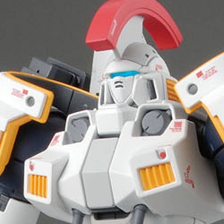 MG 1/100 多鲁基斯EW