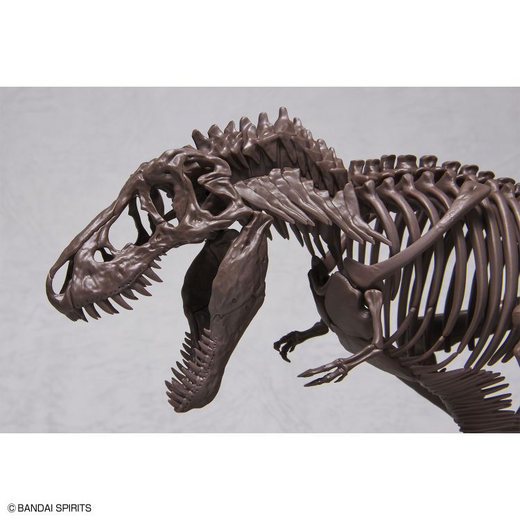 1/32 Imaginary Skeleton 霸王龙