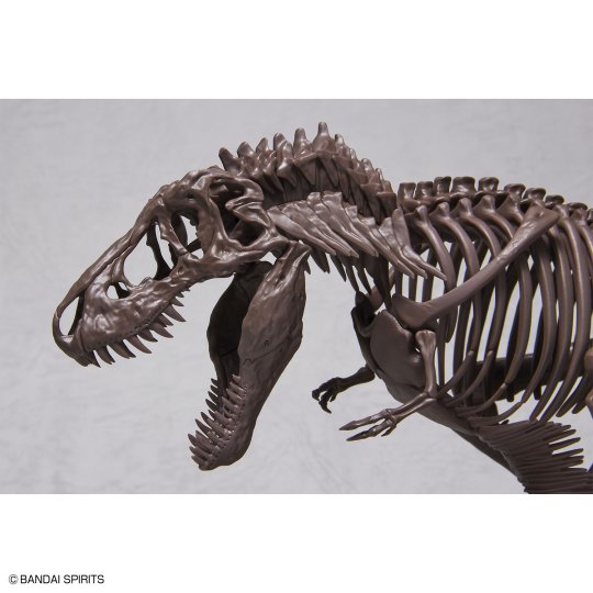 1/32 Imaginary Skeleton 霸王龙