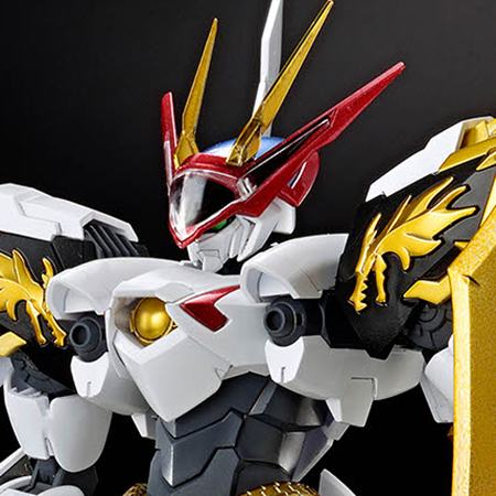 HG Amplified IMGN 龙王丸