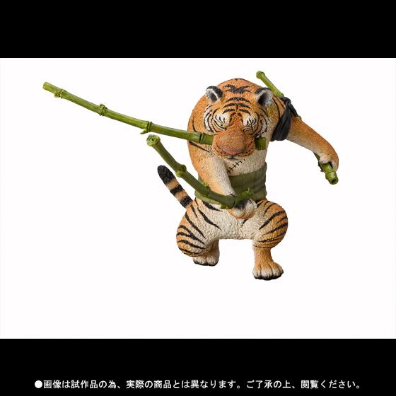 罗罗诺亚·索隆 as 托拉
