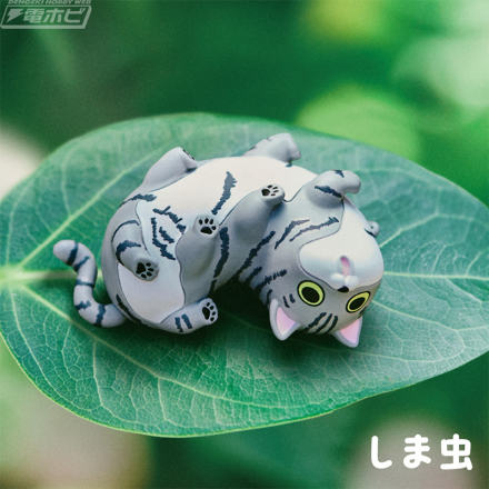 神秘生物“猫虫”的吉祥物出现在 Takara Tomy Arts 的扭蛋中！自由的出现会治愈你♪