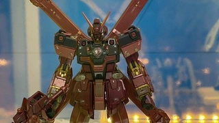 RG系列 海盗高达X1【宝钟玛琳Ver.】 展图