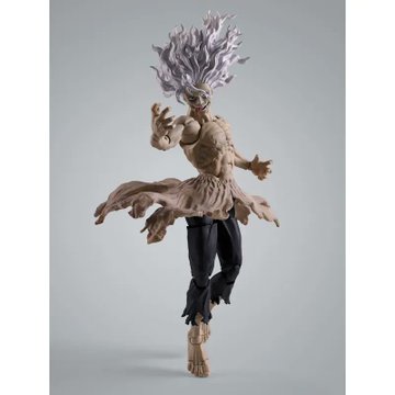 S.H.Figuarts @_PREMIUMBANDAI_