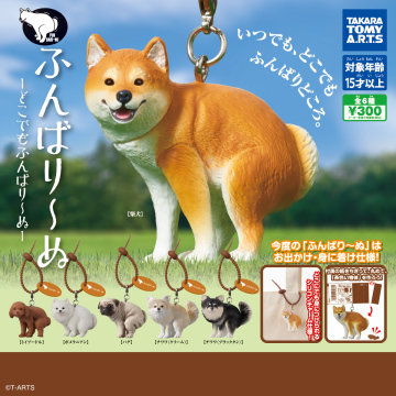 T-ARTS『再加把勁狗狗—無論在哪裡都要堅持下去—』轉蛋!讓你把蹲大便狗狗帶出門遛