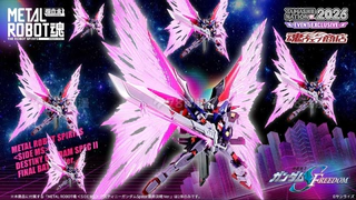魂展限定 METAL ROBOT魂 命运高达SpecⅡ 最终决战Ver.