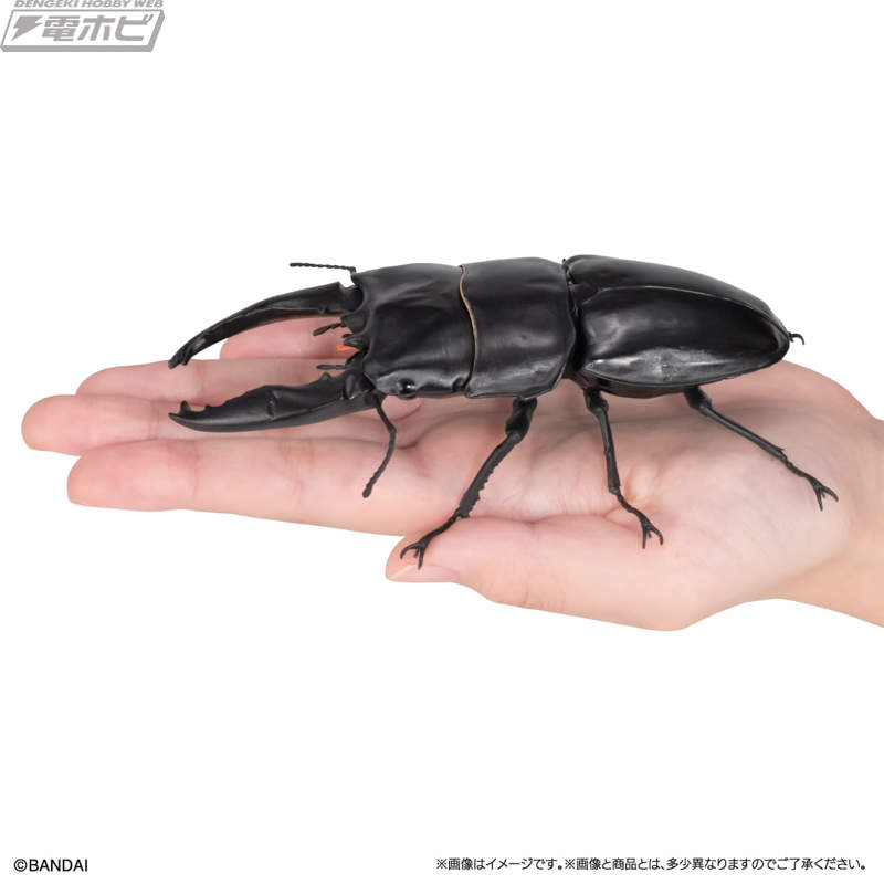 アルキデスヒラタクワガタ、パプアキンイロクワガタ、ヤエヤママルバネクワガタを収録した「いきもの大図鑑 くわがた13 樹皮台座（小）セット」が登場！
