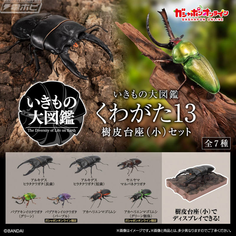アルキデスヒラタクワガタ、パプアキンイロクワガタ、ヤエヤママルバネクワガタを収録した「いきもの大図鑑 くわがた13 樹皮台座（小）セット」が登場！