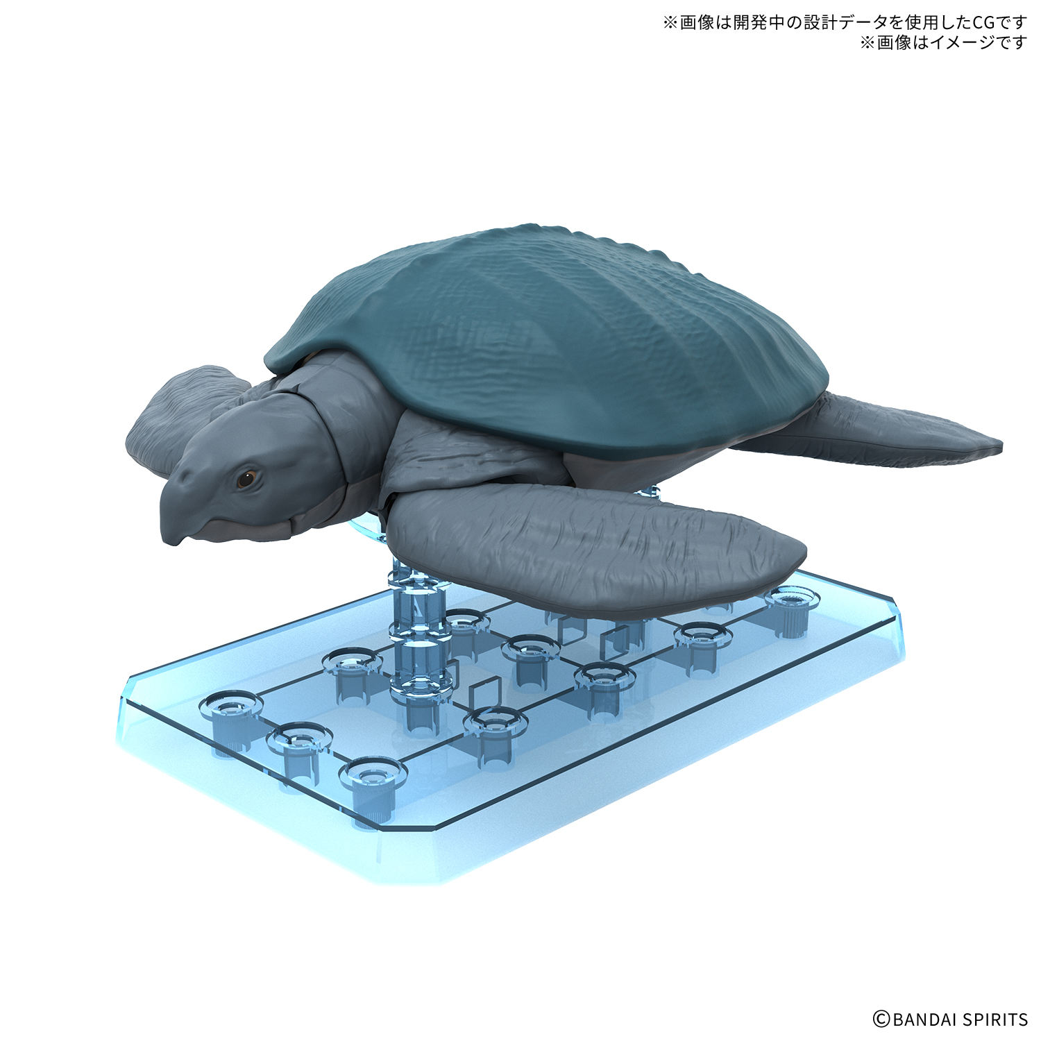 将于 2026 年 9 月在综合商店发售的商品