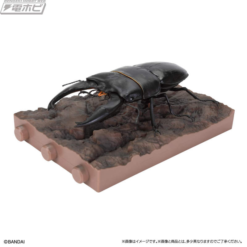 アルキデスヒラタクワガタ、パプアキンイロクワガタ、ヤエヤママルバネクワガタを収録した「いきもの大図鑑 くわがた13 樹皮台座（小）セット」が登場！